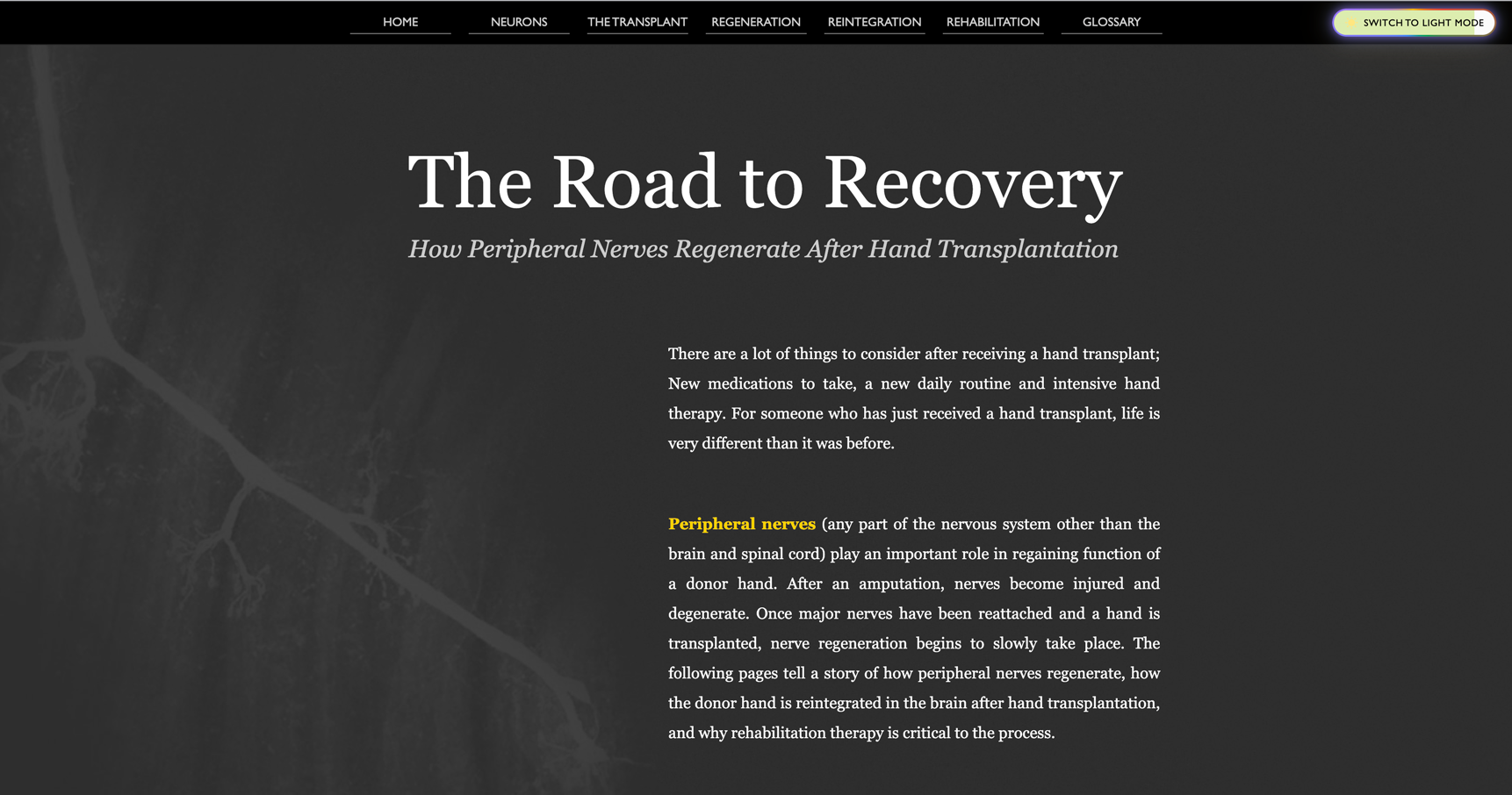 RoadtoRecovery_Darkmode