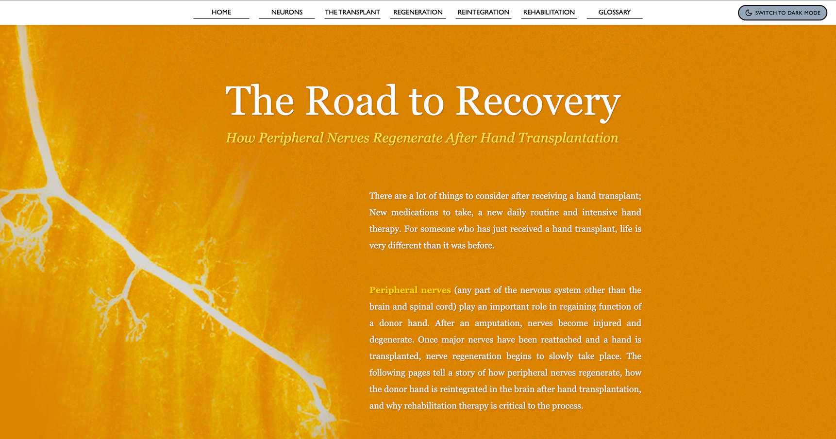 RoadtoRecovery_DarkmodeButton2