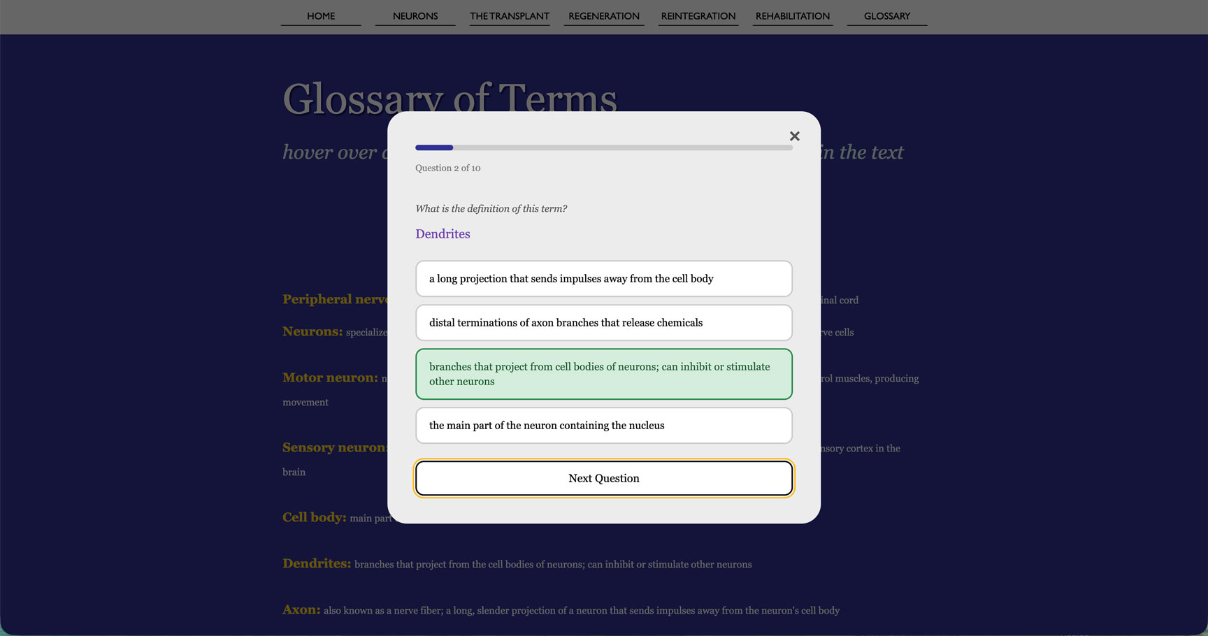 RoadtoRecovery_GlossarySection