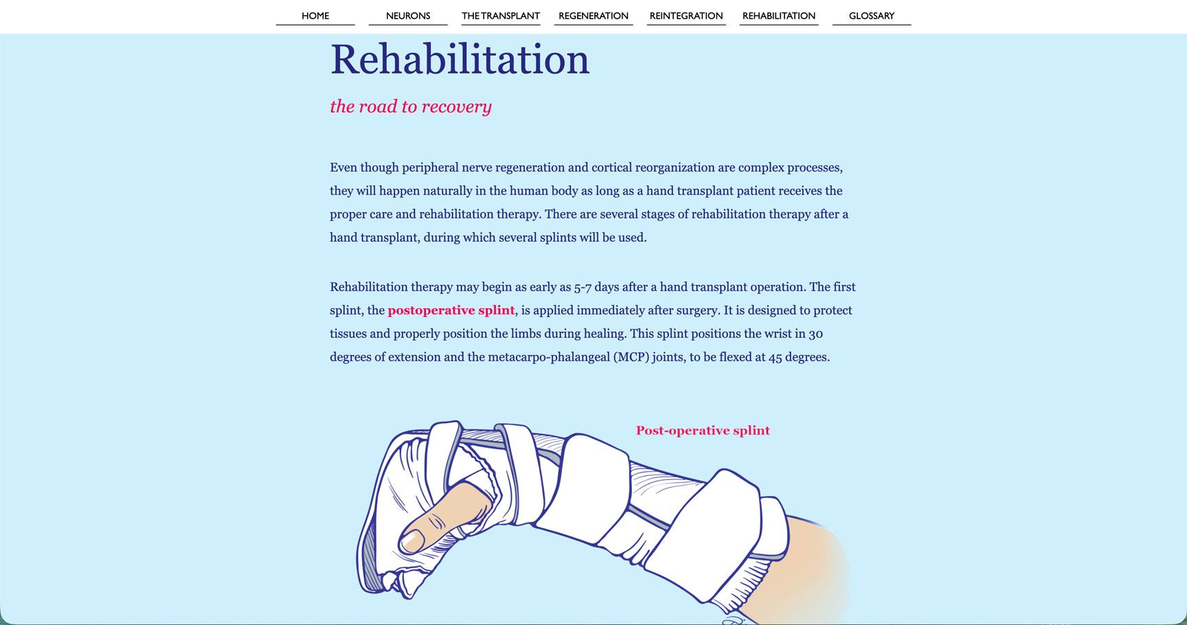RoadtoRecovery_RehabSection