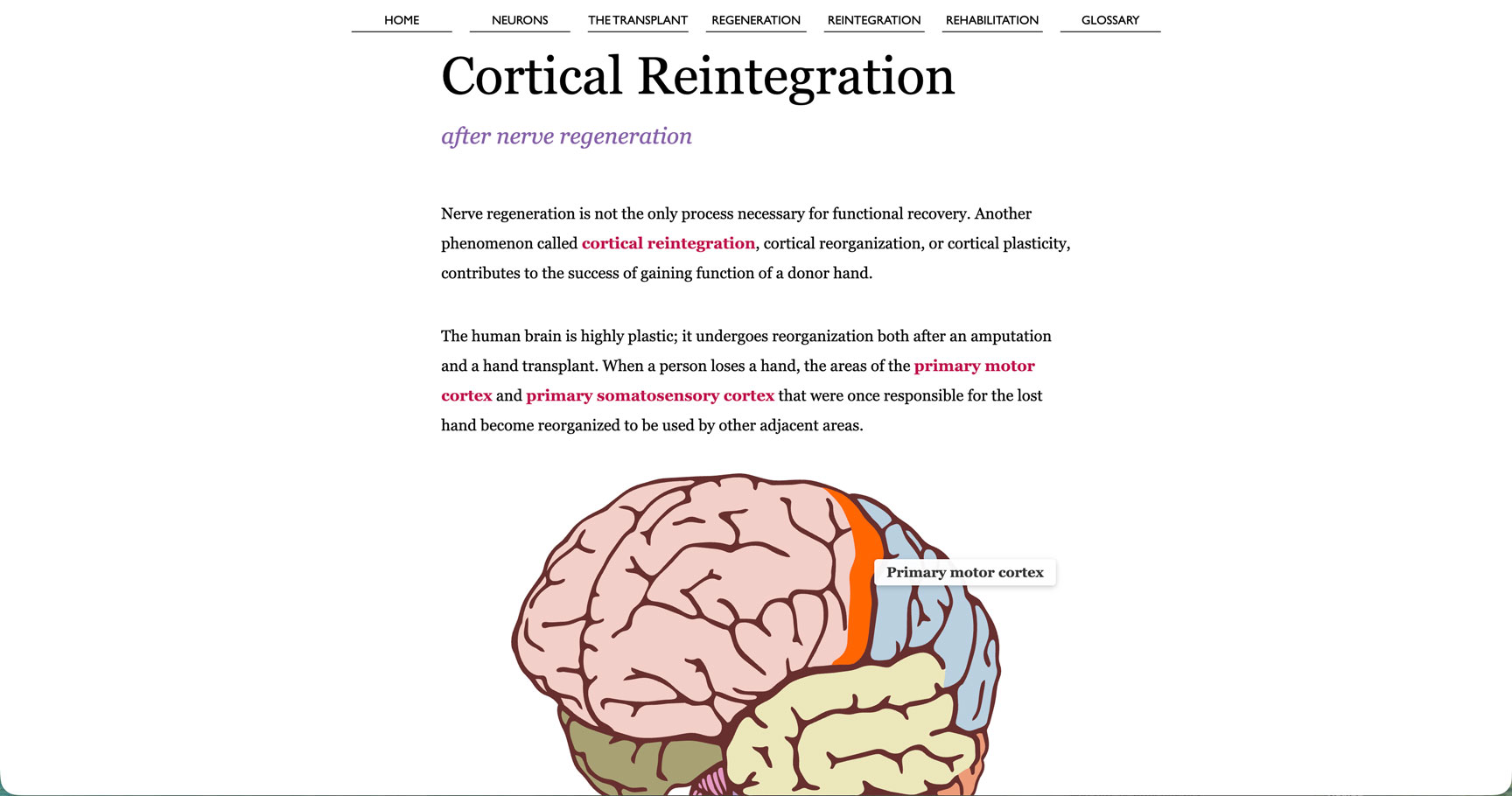 RoadtoRecovery_ReintegrationSection