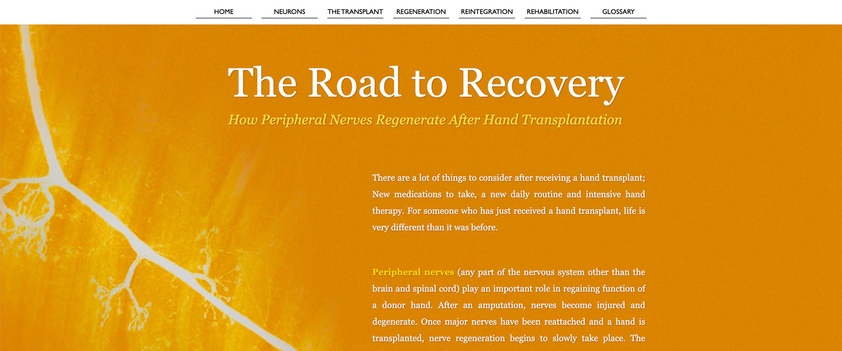 TheRoadtoRecovery_Header